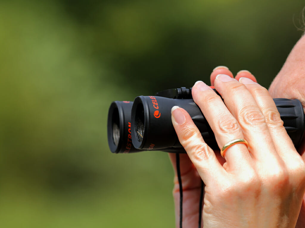 birdwatching binocular reviews