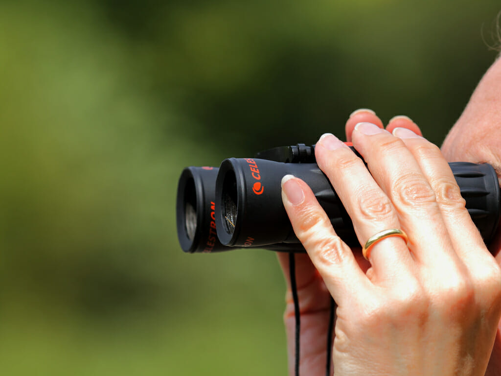 Best Binoculars Under $200 For Every Type Of Activity