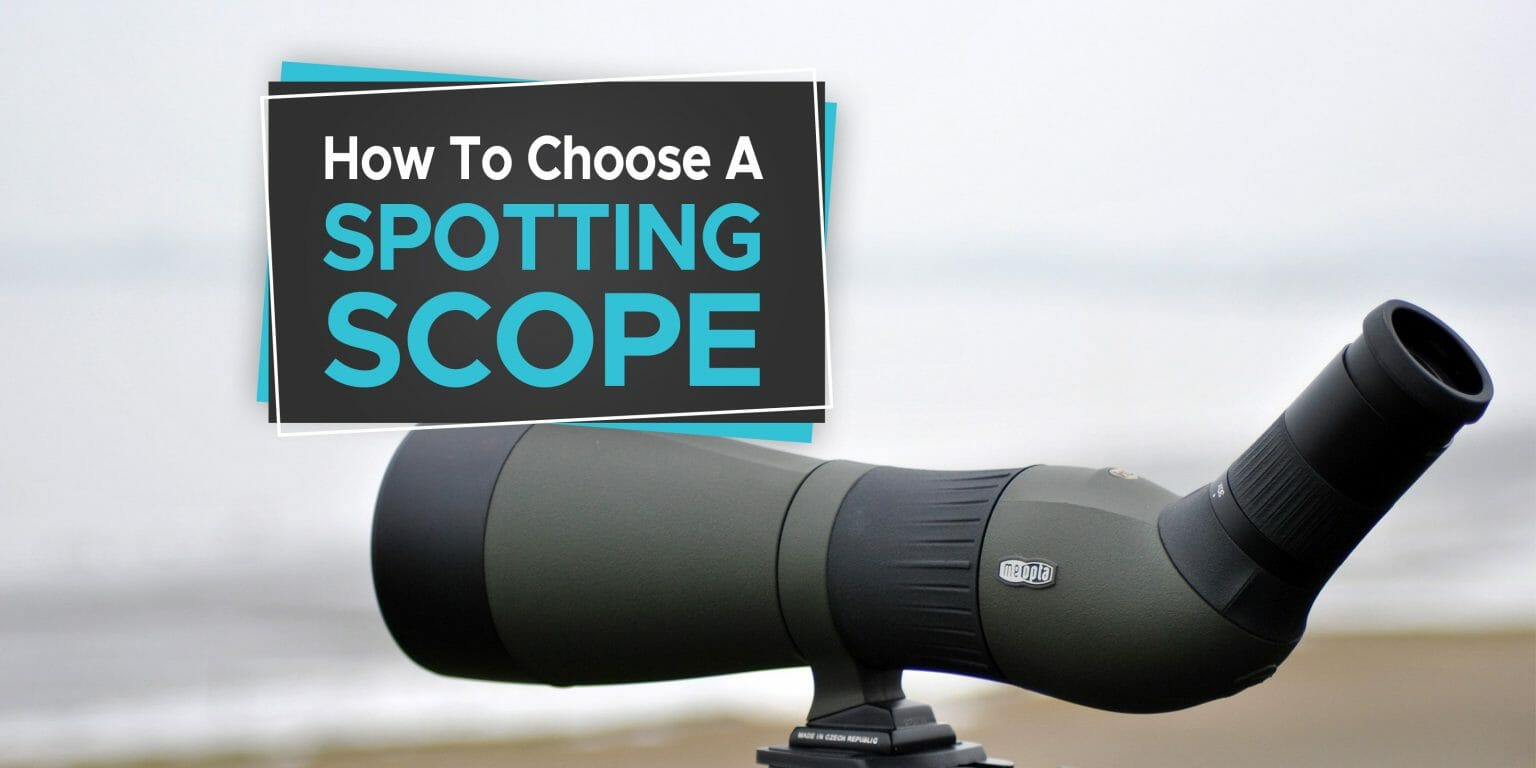 How to Choose a Spotting Scope Learn The Essentials Birdwatching Buzz