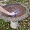 how to keep bird bath water clean naturally