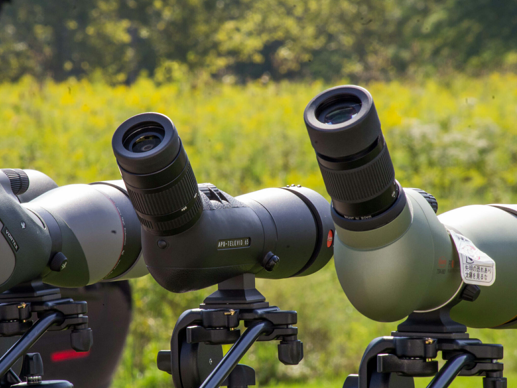 hoe gebruik je een spotting scope voor birding