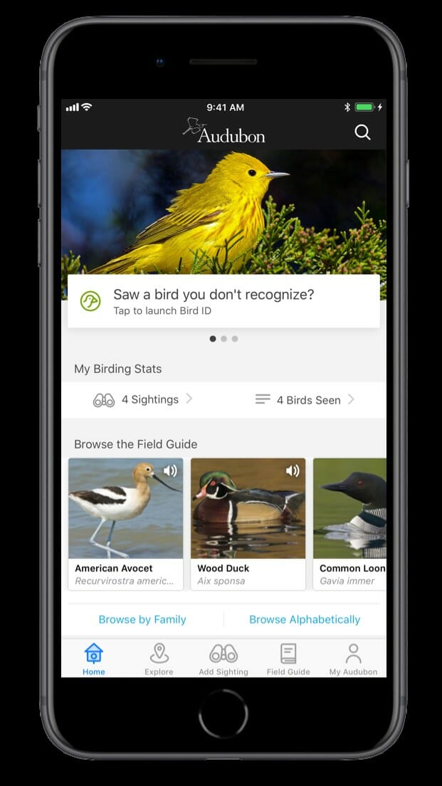 Best Birding Apps [The Birdwatchers Guide For 2022] - Birdwatching Buzz