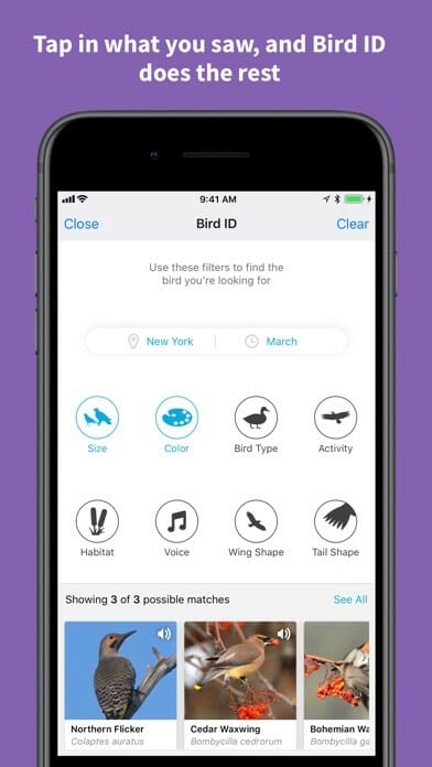 Best Birding Apps The Birdwatchers Guide For Birdwatching Buzz