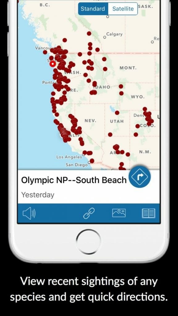 Best Birding Apps [The Birdwatchers Guide For 2022] Birdwatching Buzz