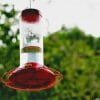 why does my hummingbird feeder get air locked