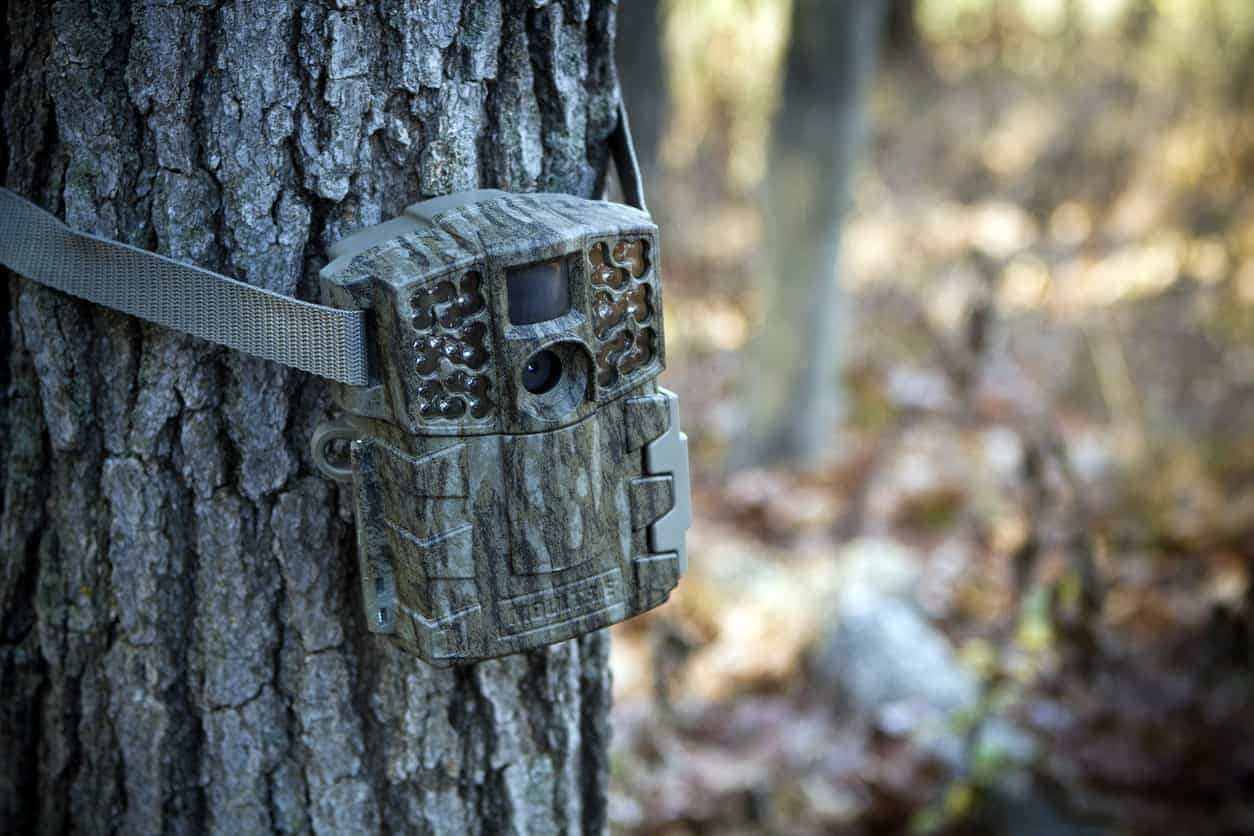 best trail camera for home security