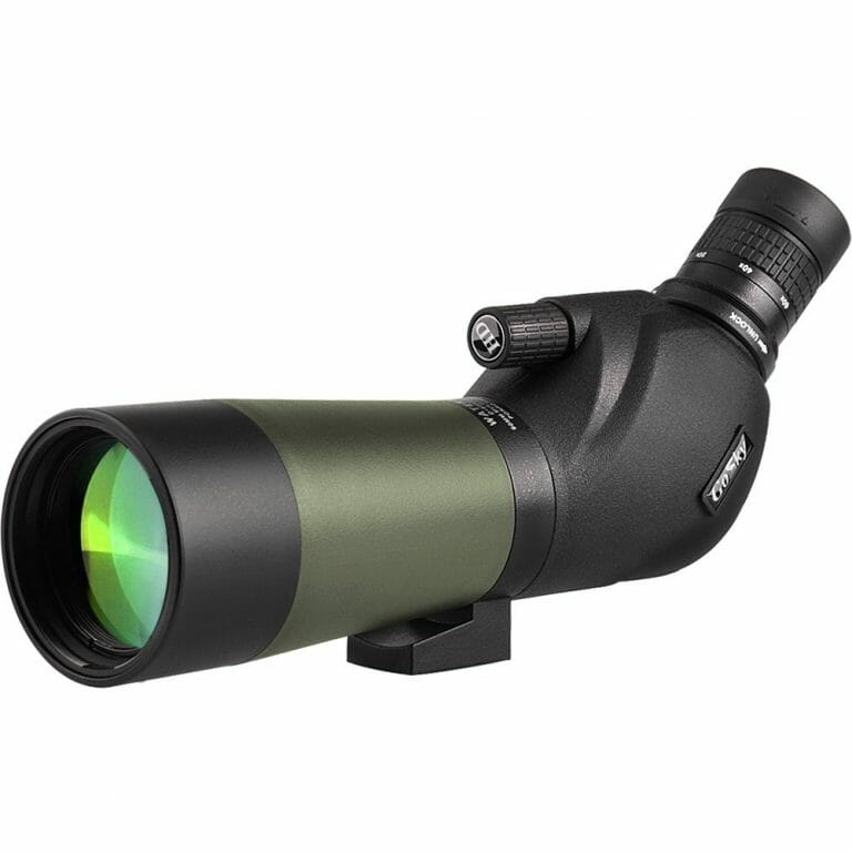 Angled vs Straight Spotting Scope For Birding Which Is Better