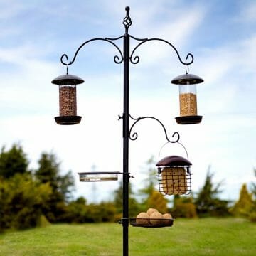standing bird feeder pole