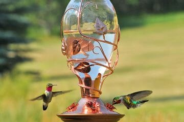 unique hummingbird feeders