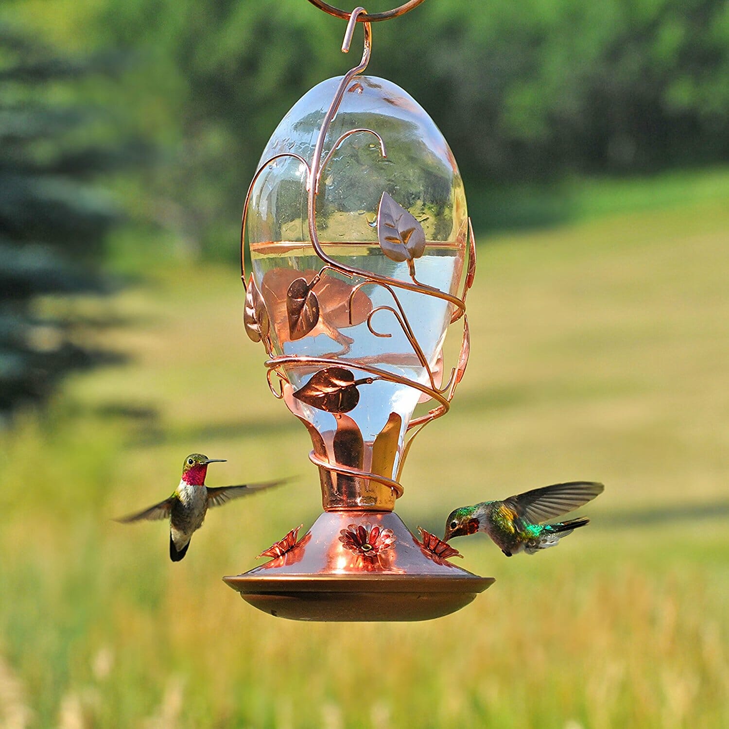 Muse Garden Unique Blown Glass Hummingbird Feeder, Orange Fireworks