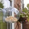 best bird feeder for apartments