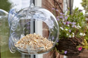 Bird Feeders Archives Birdwatching Buzz