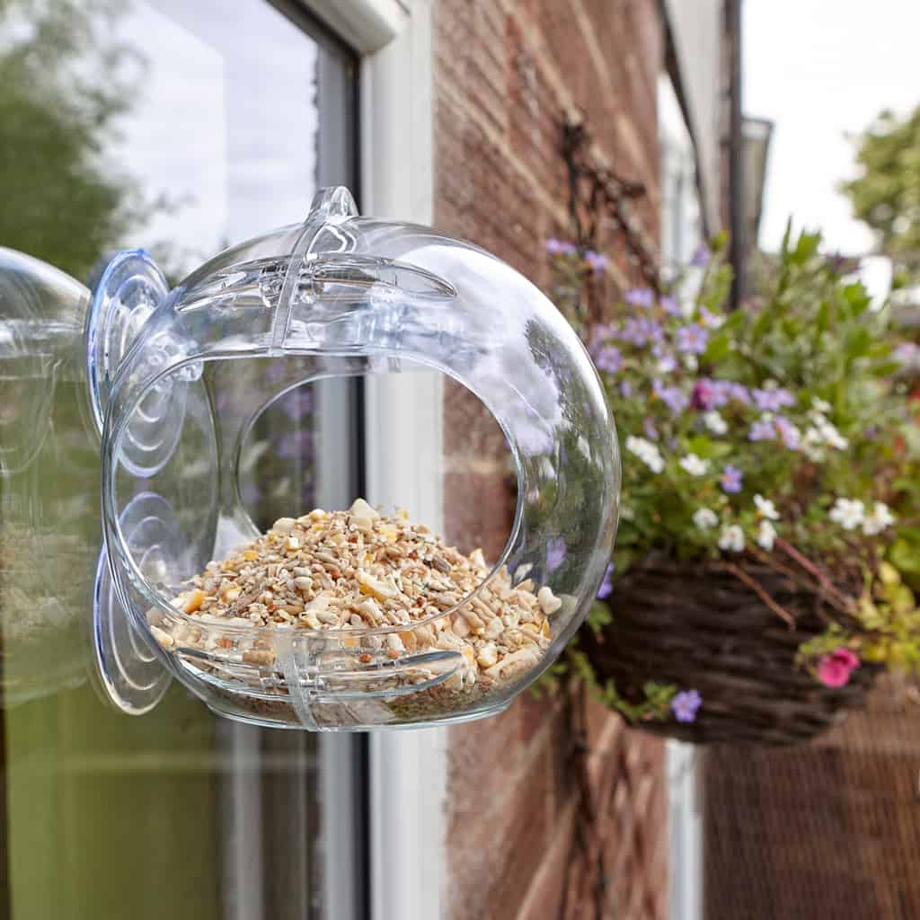 Best Bird Feeders for Apartments [Balcony Railings & Windows Covered