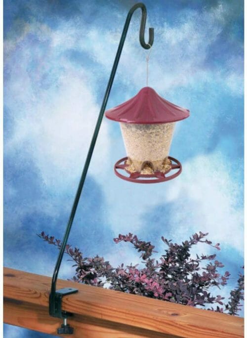 Best Bird Feeders for Apartments [Balcony Railings & Windows Covered