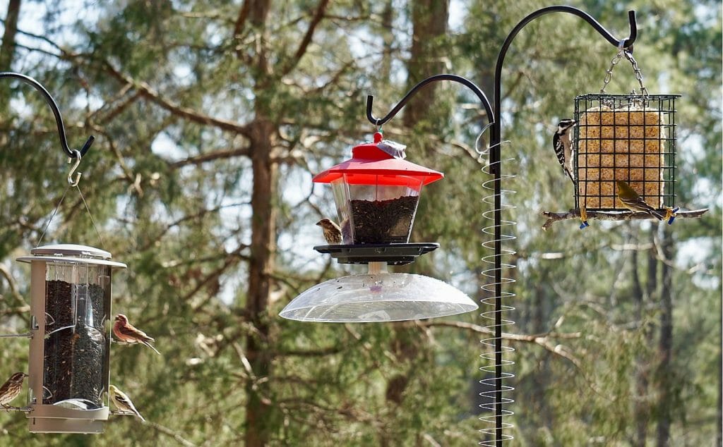 How To Attach a Slinky To Your Bird Feeder Pole [Slinky vs Squirrels