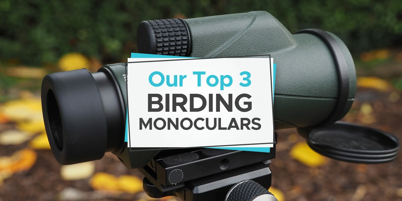 best monocular for bird watching