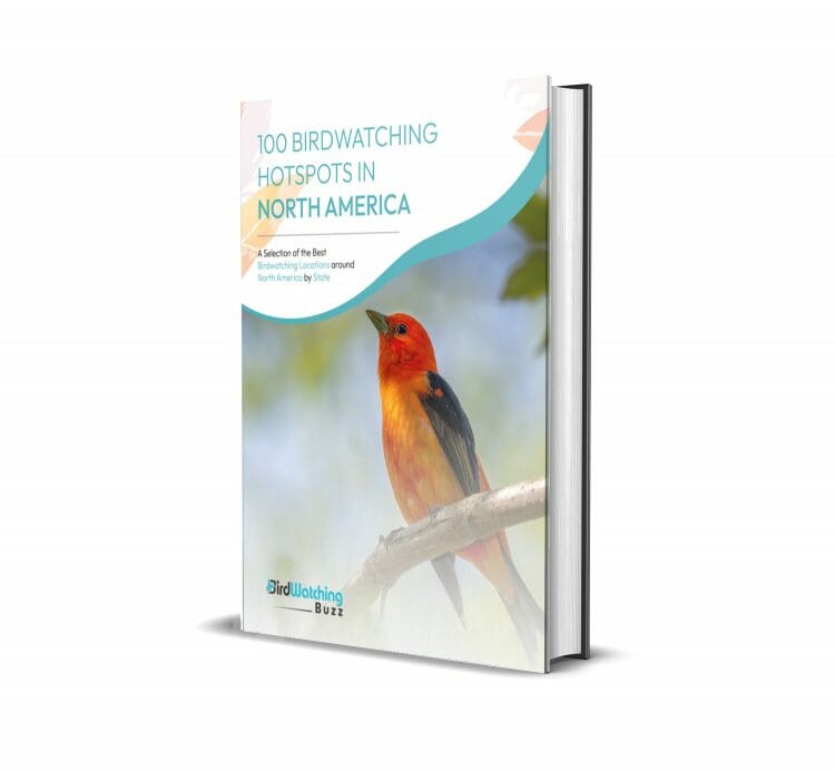 100 Bird Watching Hotspots in North America [StatebyState Guide